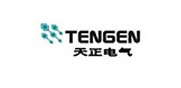 天正集团有限公司 